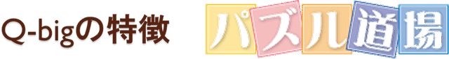 Q-bigの特徴 パズル道場
